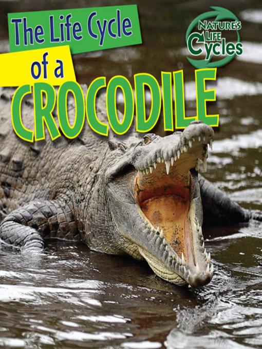 Title details for The Life Cycle of a Crocodile by Barbara M. Linde - Available
